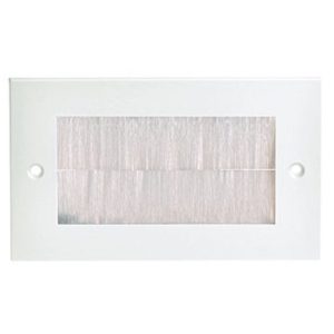 Wall Plate with Brushes